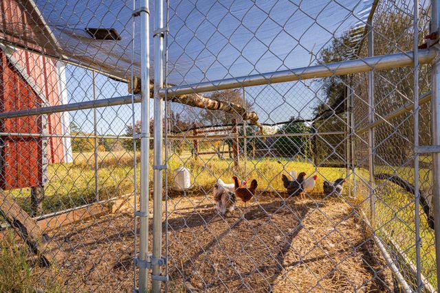 1855 Phillips Springs Rd, Gladewater, TX 75647