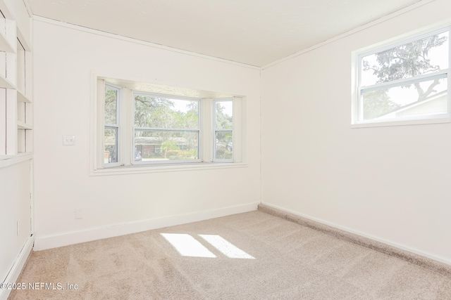 4604 BLUFF Avenue, Jacksonville, FL 32225