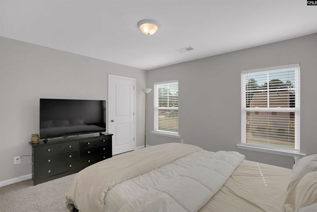 313 Pinaster Path, West Columbia, SC 29170