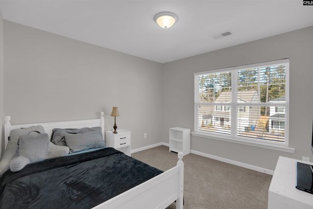 313 Pinaster Path, West Columbia, SC 29170