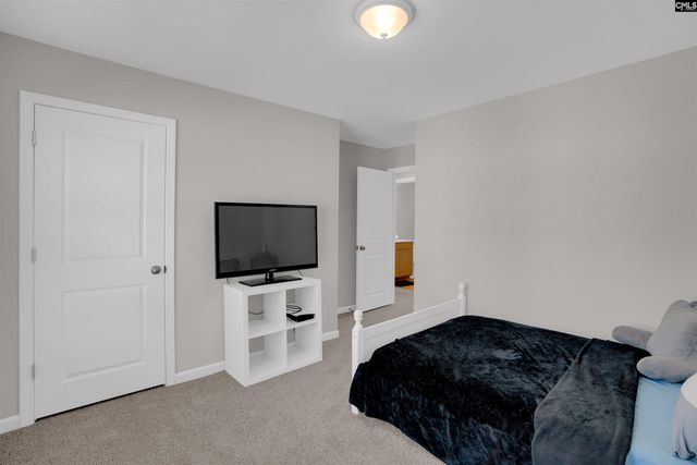 313 Pinaster Path, West Columbia, SC 29170