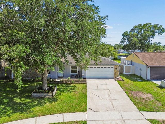 16205 SAWGRASS CIRCLE, Tampa, FL 33624