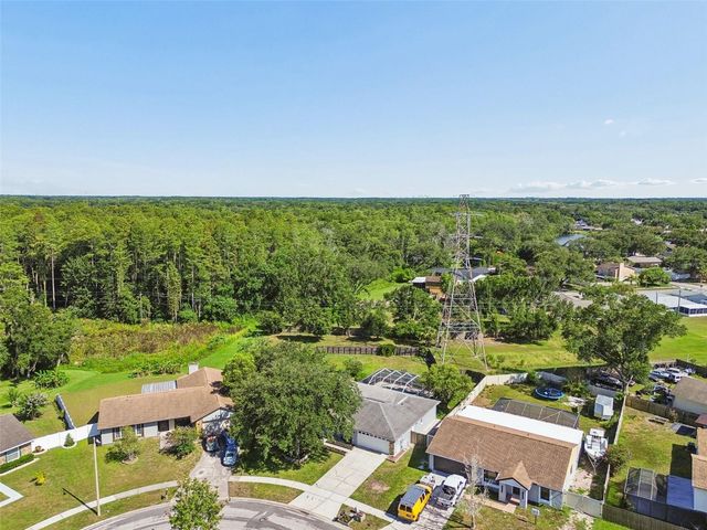 16205 SAWGRASS CIRCLE, Tampa, FL 33624