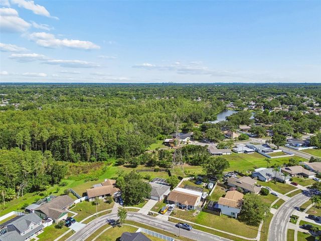 16205 SAWGRASS CIRCLE, Tampa, FL 33624
