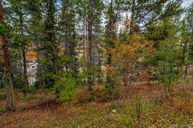 97 Lake Ridge Circle 1854, Dillon, CO 80435