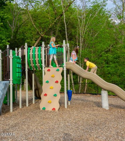 225 Collier Drive, Unit 2410, Sevierville, TN 37862