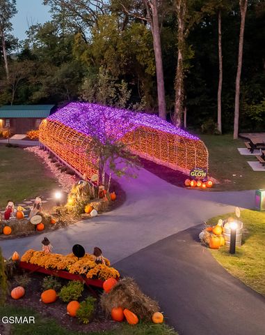 225 Collier Drive, Unit 2410, Sevierville, TN 37862