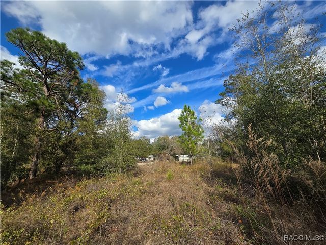 4610 N Ellen Point, Crystal River, FL 34428