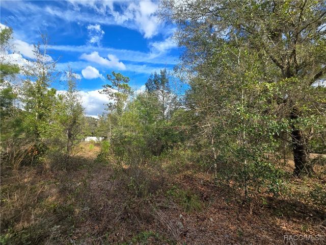 4610 N Ellen Point, Crystal River, FL 34428