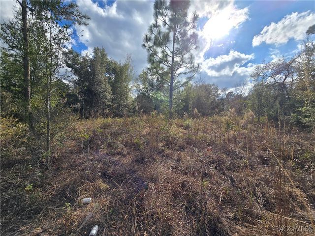 4610 N Ellen Point, Crystal River, FL 34428