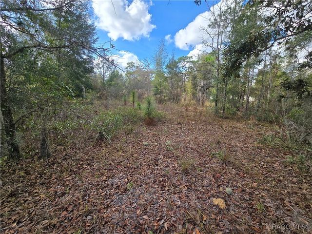 4610 N Ellen Point, Crystal River, FL 34428