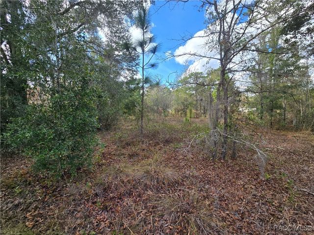 4610 N Ellen Point, Crystal River, FL 34428