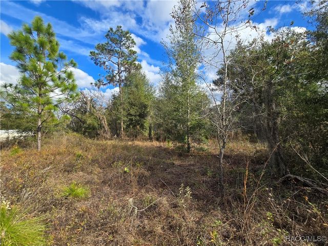 4610 N Ellen Point, Crystal River, FL 34428