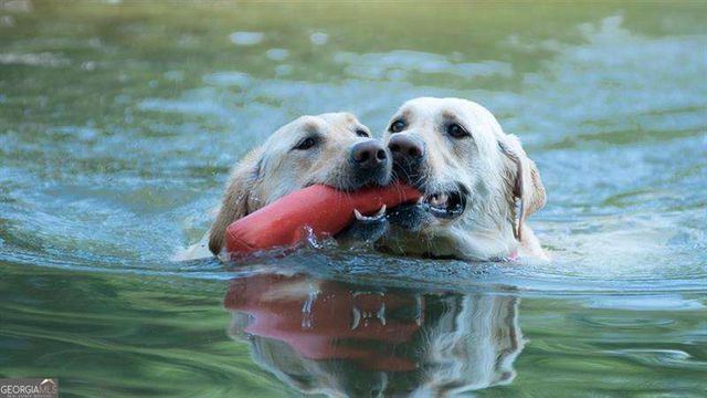 4775 BERKELEY WALK Point, Berkeley Lake, GA 30096