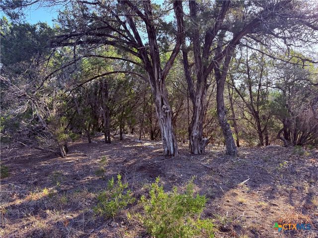 3600 Stagecoach Ranch Loop, Dripping Springs, TX 78620