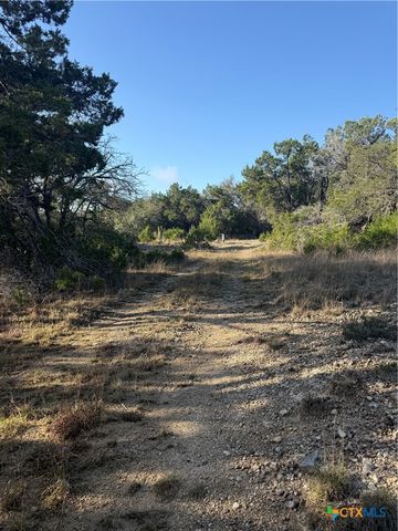 3600 Stagecoach Ranch Loop, Dripping Springs, TX 78620
