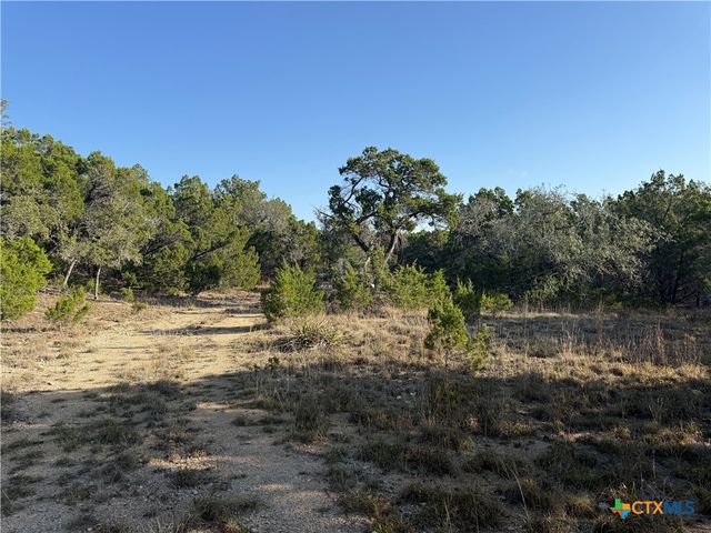 3600 Stagecoach Ranch Loop, Dripping Springs, TX 78620