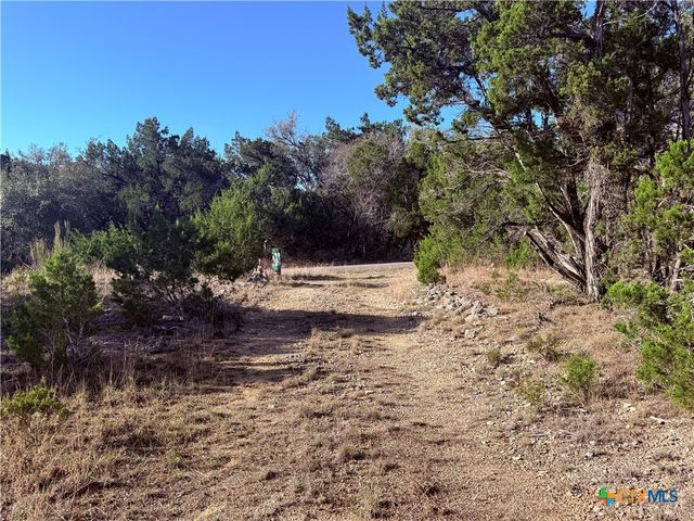 3600 Stagecoach Ranch Loop, Dripping Springs, TX 78620