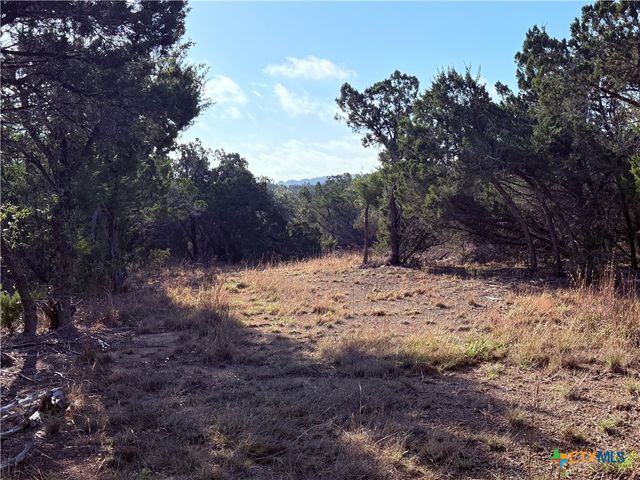 3600 Stagecoach Ranch Loop, Dripping Springs, TX 78620