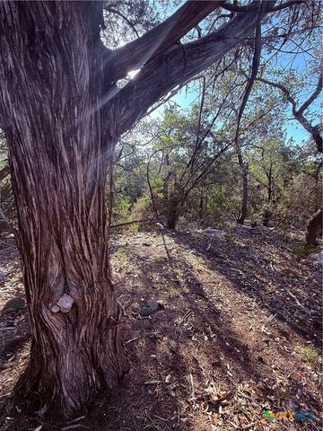 3600 Stagecoach Ranch Loop, Dripping Springs, TX 78620