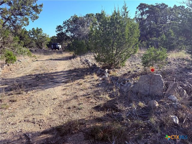 3600 Stagecoach Ranch Loop, Dripping Springs, TX 78620