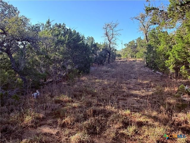 3600 Stagecoach Ranch Loop, Dripping Springs, TX 78620