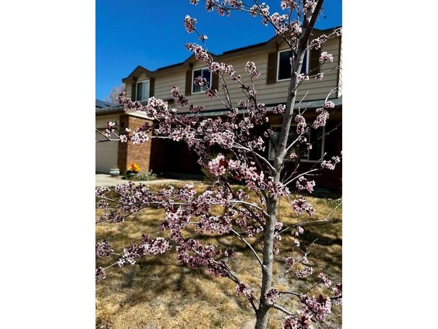 8330 Garland Dr, Arvada, CO 80005
