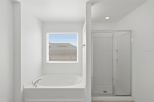 3721 MAIDENCAIN STREET, Clermont, FL 34714