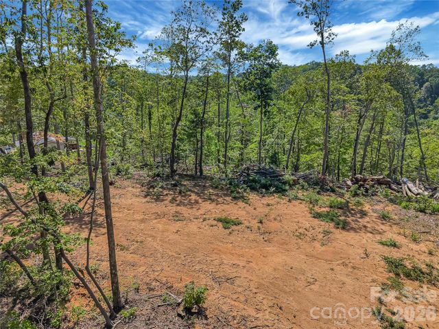 TBD Early Road, Saluda, NC 28773