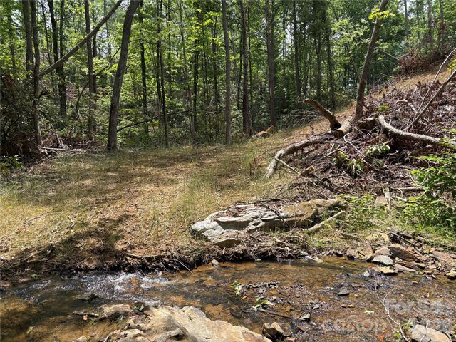 TBD Early Road, Saluda, NC 28773