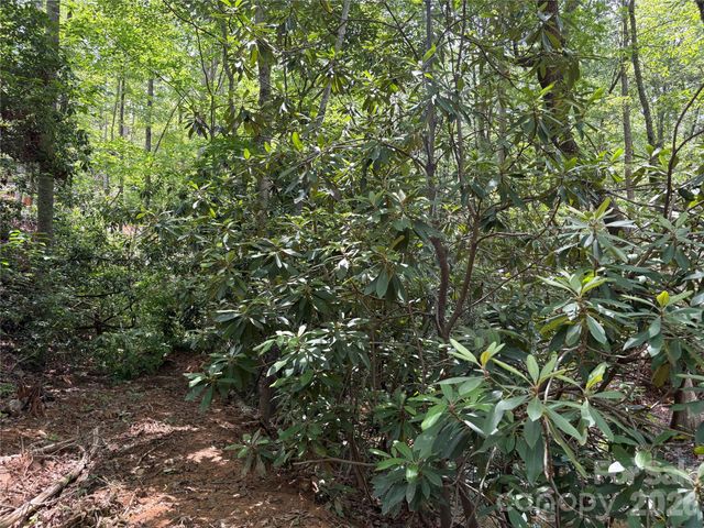 TBD Early Road, Saluda, NC 28773