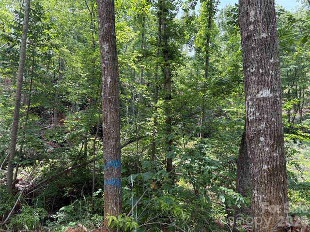 TBD Early Road, Saluda, NC 28773