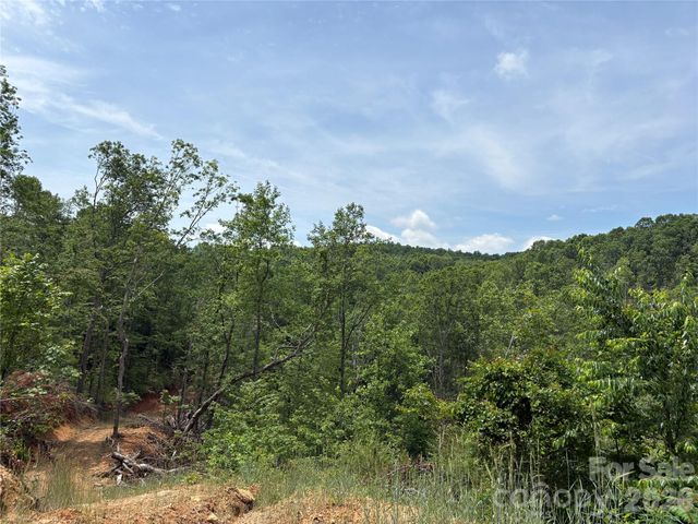 TBD Early Road, Saluda, NC 28773