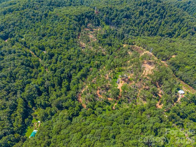 TBD Early Road, Saluda, NC 28773
