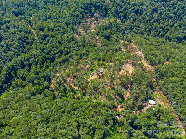 TBD Early Road, Saluda, NC 28773
