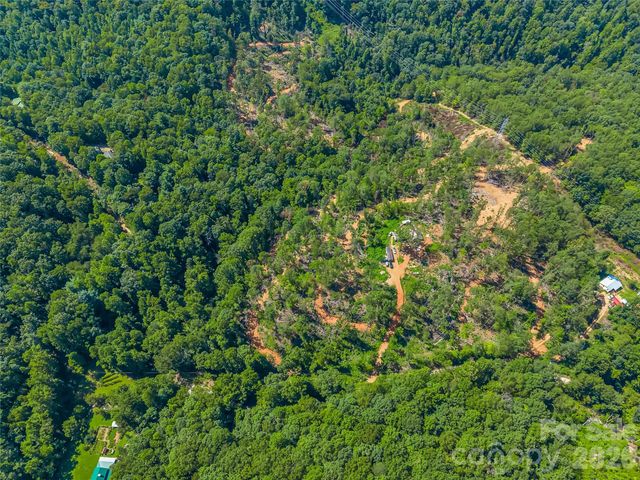 TBD Early Road, Saluda, NC 28773