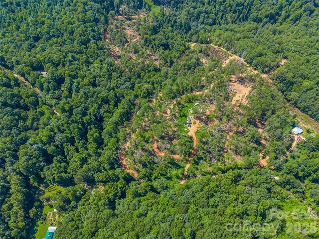 TBD Early Road, Saluda, NC 28773