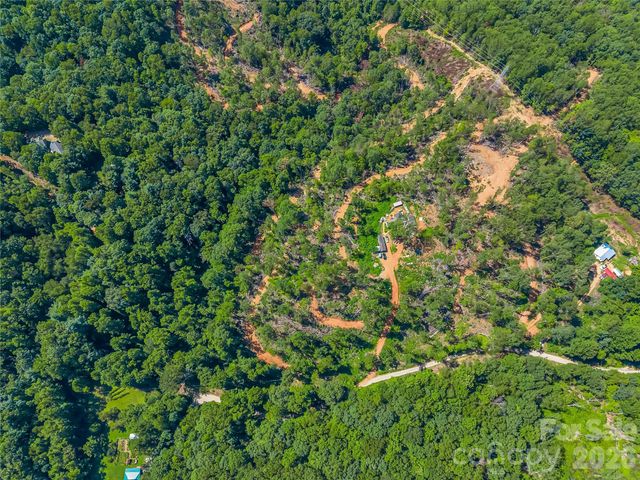 TBD Early Road, Saluda, NC 28773