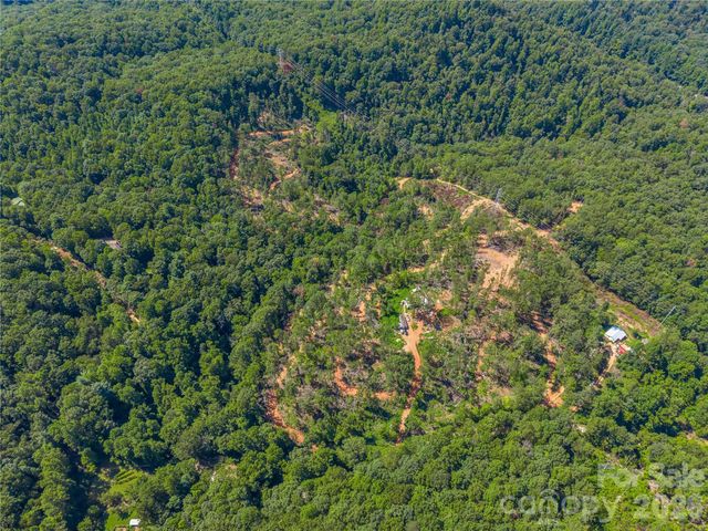 TBD Early Road, Saluda, NC 28773