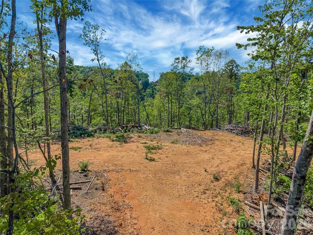 TBD Early Road, Saluda, NC 28773