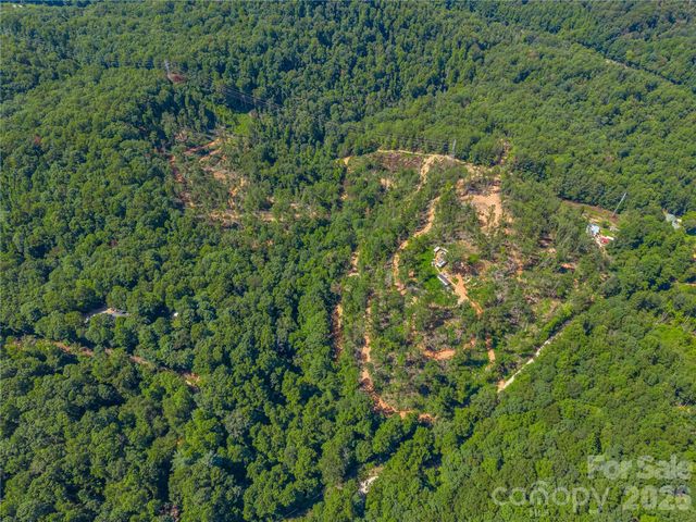 TBD Early Road, Saluda, NC 28773