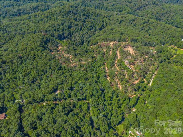 TBD Early Road, Saluda, NC 28773