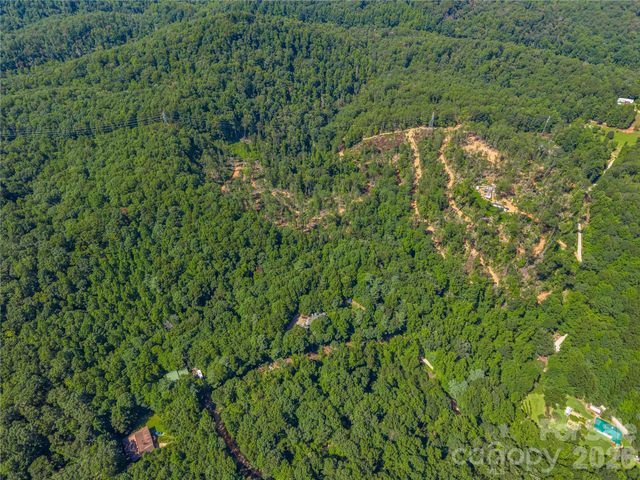 TBD Early Road, Saluda, NC 28773
