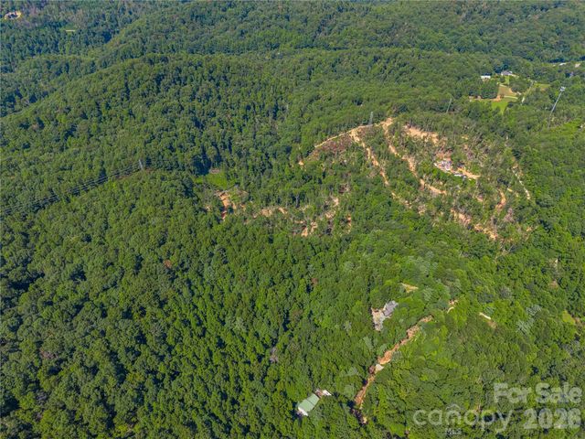 TBD Early Road, Saluda, NC 28773