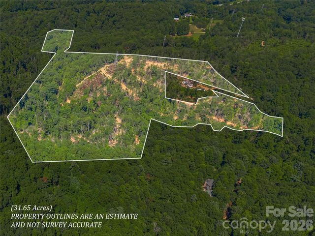 TBD Early Road, Saluda, NC 28773