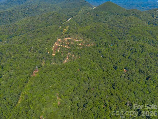 TBD Early Road, Saluda, NC 28773
