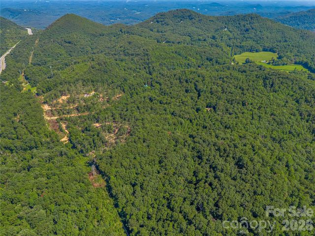 TBD Early Road, Saluda, NC 28773