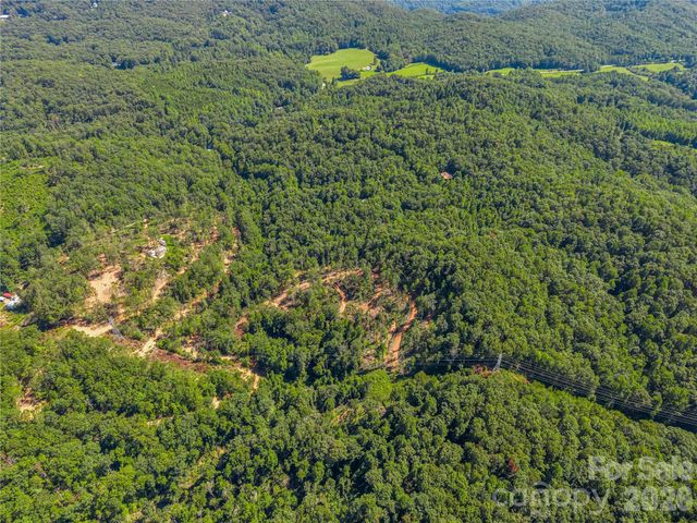 TBD Early Road, Saluda, NC 28773