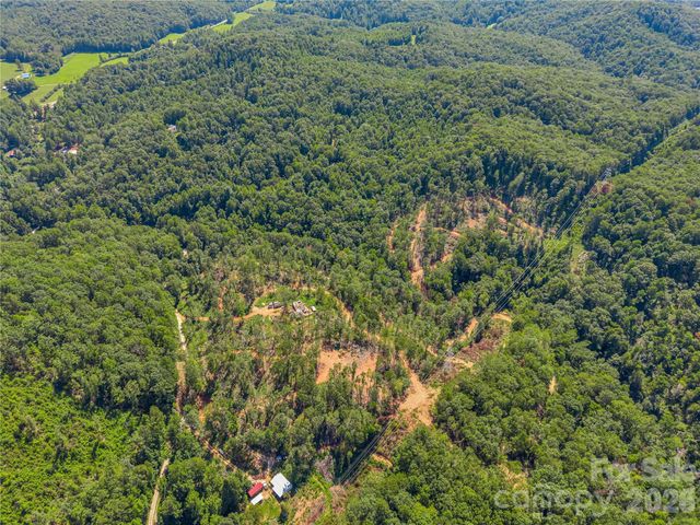 TBD Early Road, Saluda, NC 28773