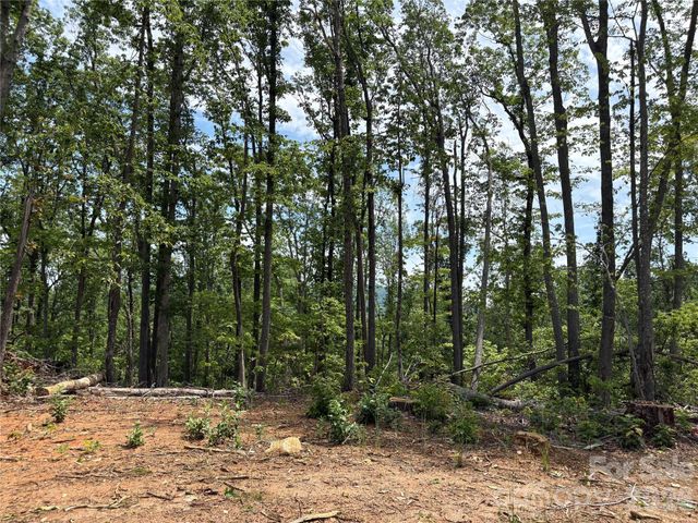 TBD Early Road, Saluda, NC 28773